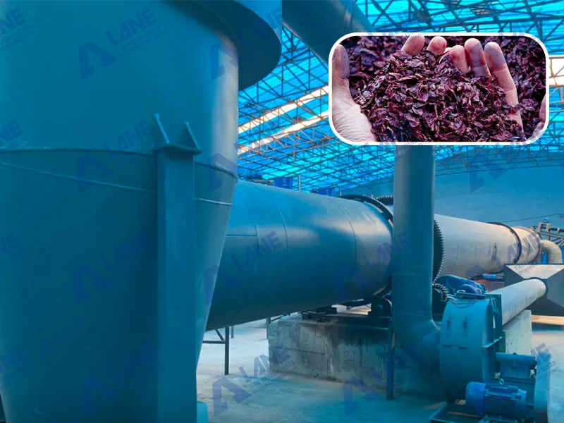 Winery Waste Organic Fertilizer Production Line