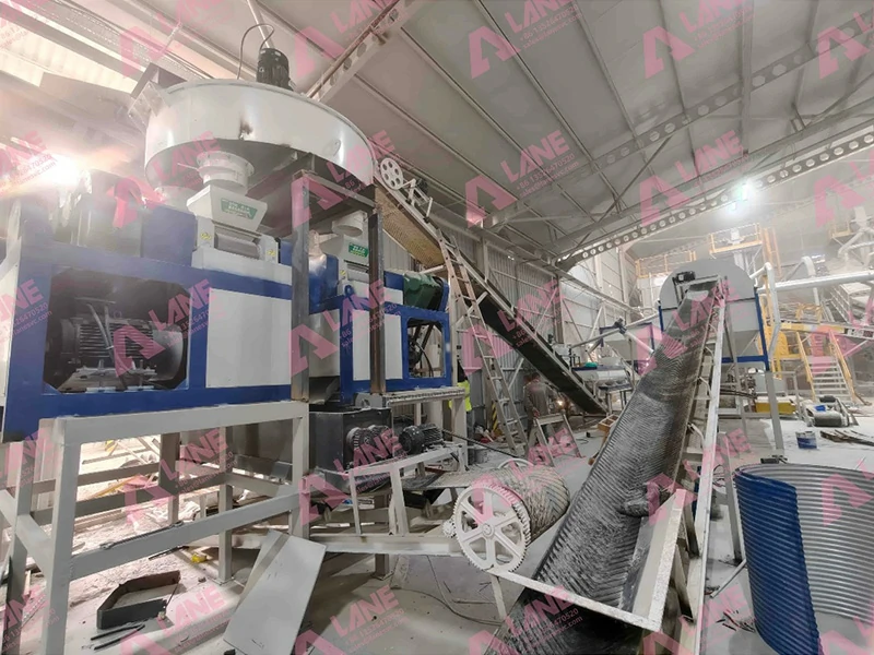 Application of Roller Compaction Granulation Systems