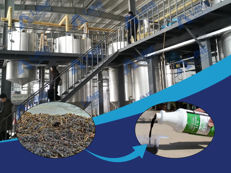 How To Produce Liquid Seaweed Fertilizer?