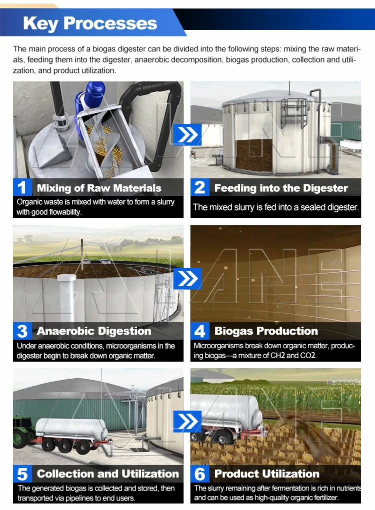 Biogas Digester Tank
