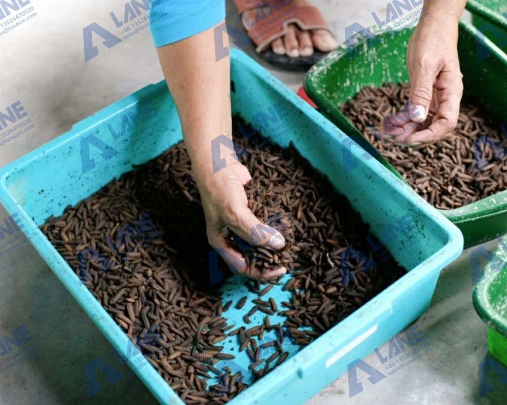 Black Soldier Fly Organic Fertilizer
