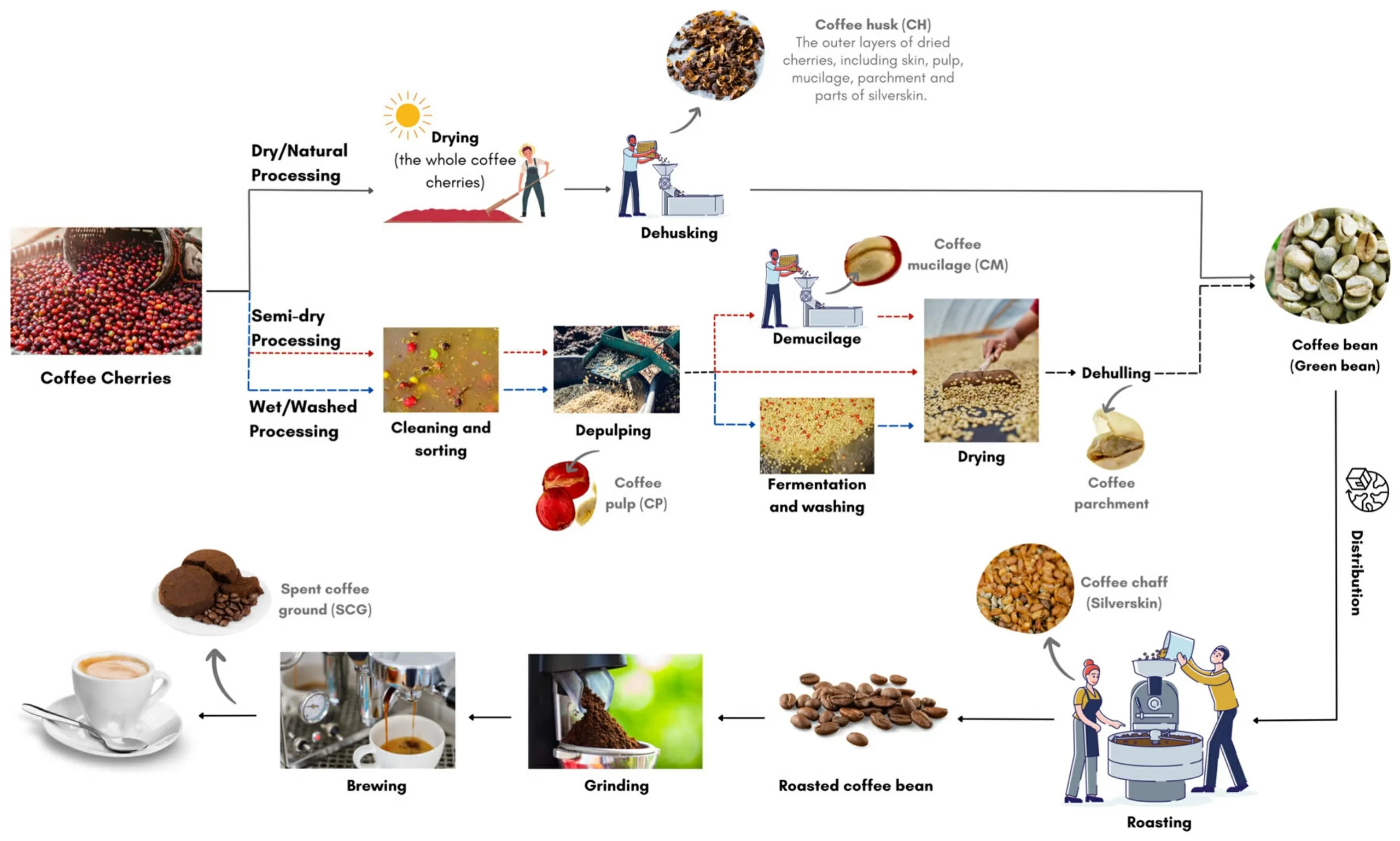 Turning industrial coffee grounds into fertilizer-3
