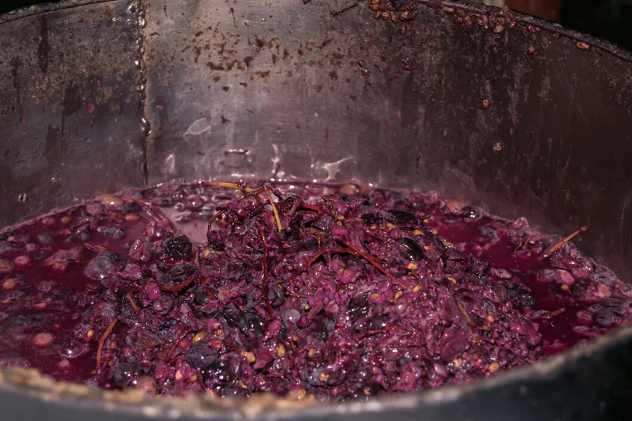 Winery Waste Organic Fertilizer Production Line