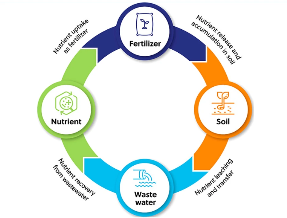 food waste to fertilizer in latin america