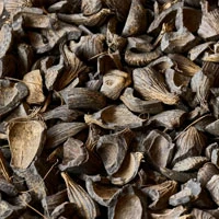 Palm Kernel Shell (PKS)