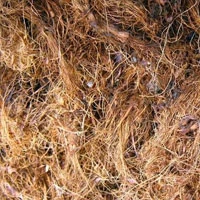 Palm fiber