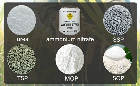 npk fertilizer production turnkey raw materials